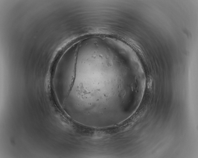 X0000114390388200910161258
