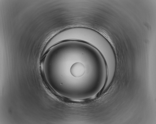 X0000114390389200910161258