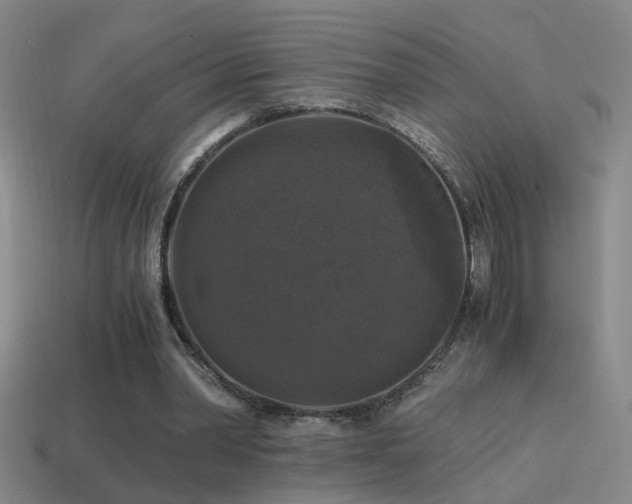 X0000114390390200910161258