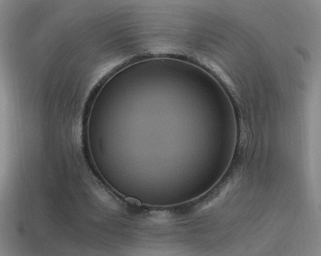 X0000114390391200910161258