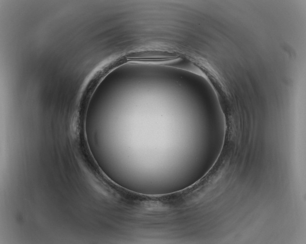 X0000114390392200910161258