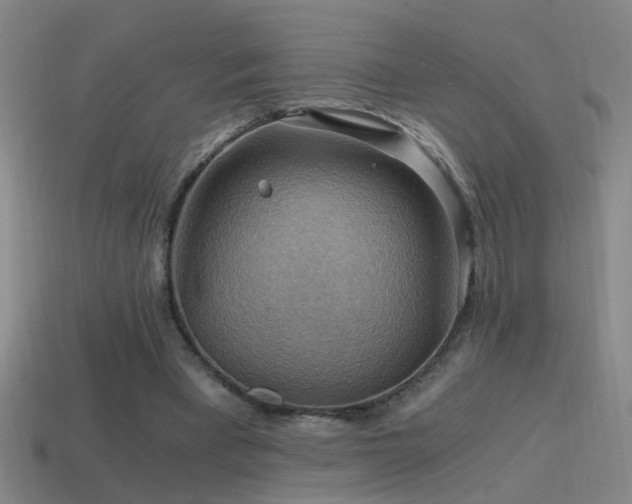 X0000114390393200910161258