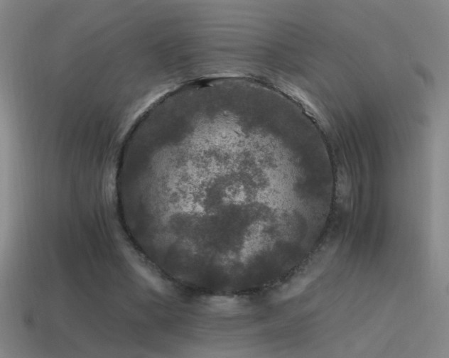 X0000114390394200910161258