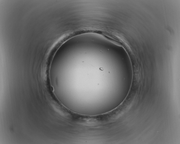 X0000114390395200910161258