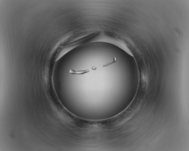 X0000114390396200910161258
