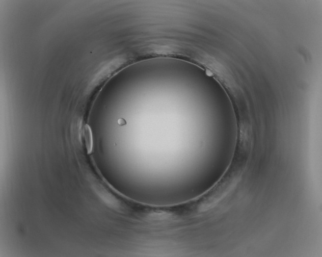 X0000114390397200910161258