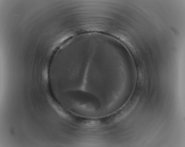 X0000114390398200910161258