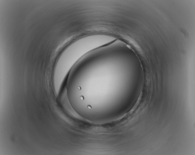 X0000114390399200910161258