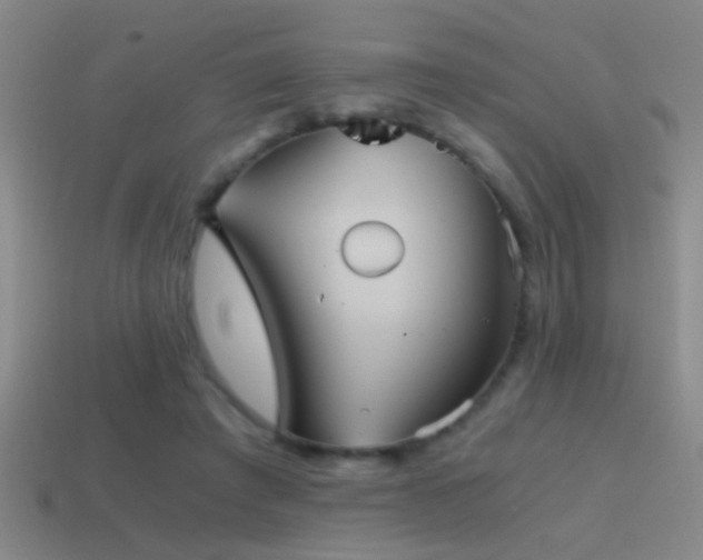 X0000114390401200910161258