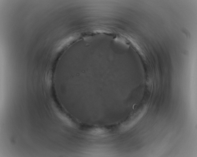 X0000114390402200910161258