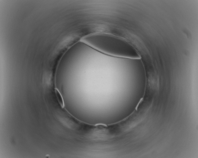 X0000114390403200910161258