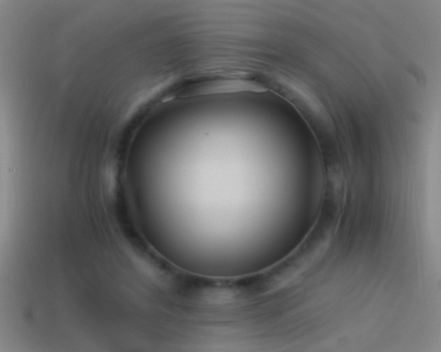 X0000114390404200910161258
