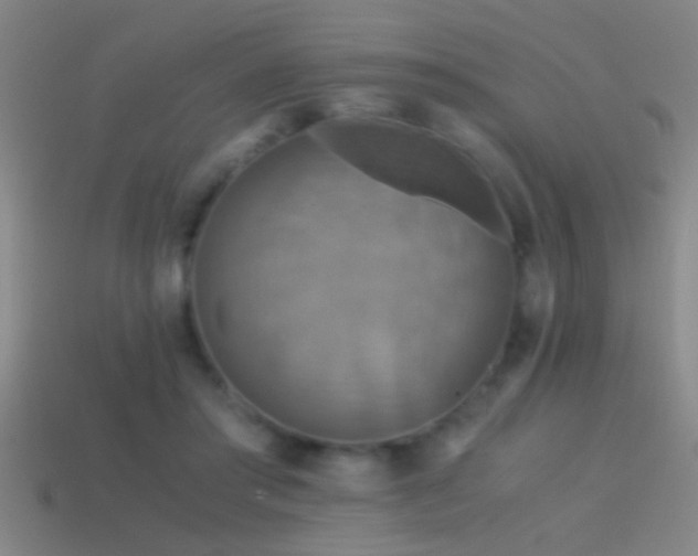 X0000114390405200910161258