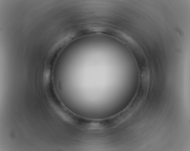 X0000114390406200910161258