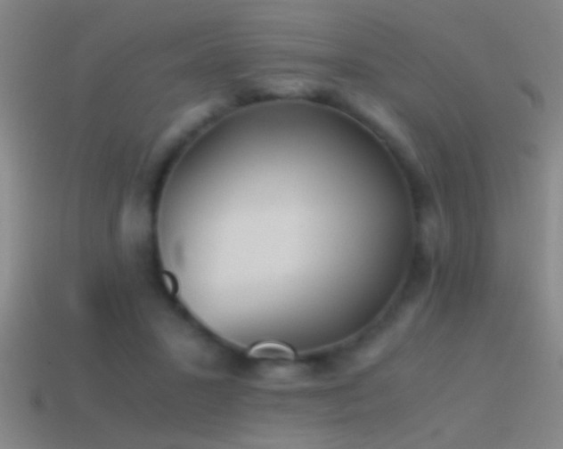 X0000114390407200910161258