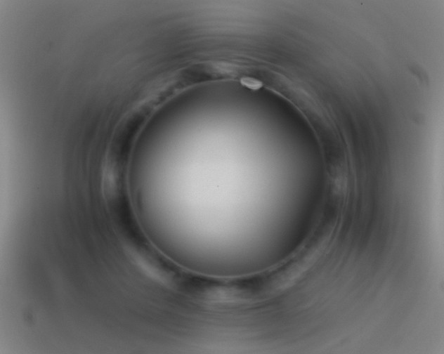 X0000114390408200910161258