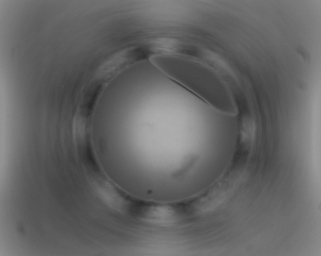 X0000114390409200910161258
