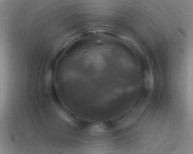 X0000114390410200910161258