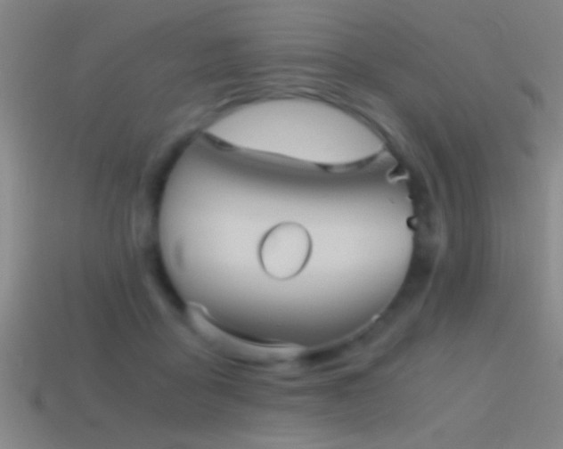 X0000114390411200910161258