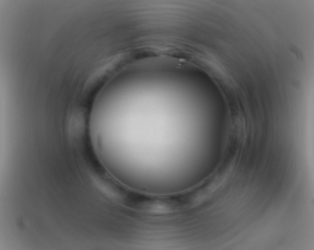 X0000114390412200910161258