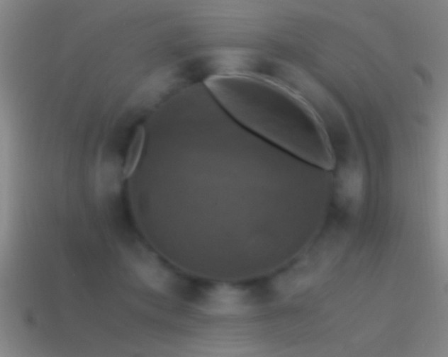 X0000114390413200910161258