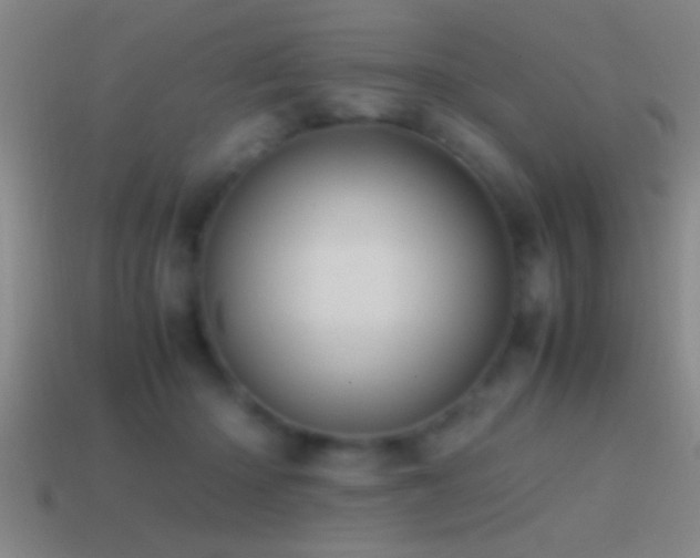 X0000114390414200910161258