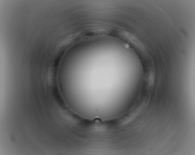 X0000114390416200910161258