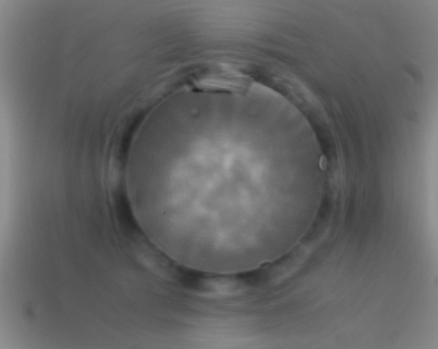 X0000114390417200910161258