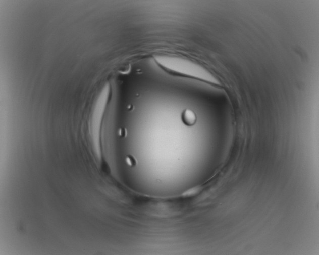 X0000114390419200910161258