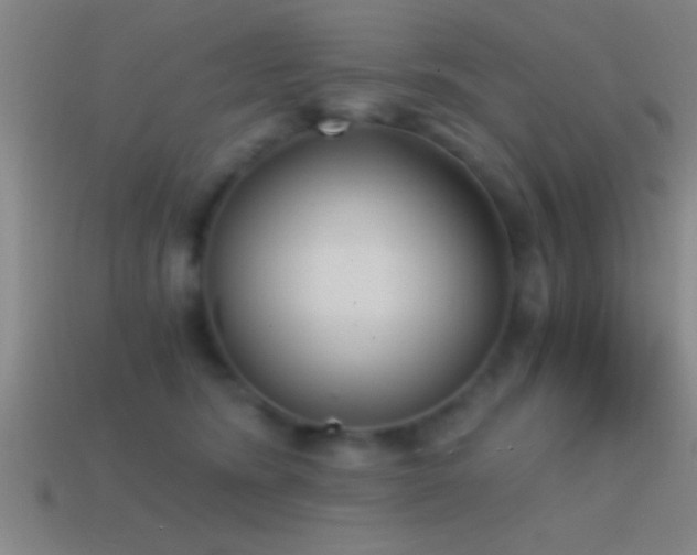 X0000114390420200910161258