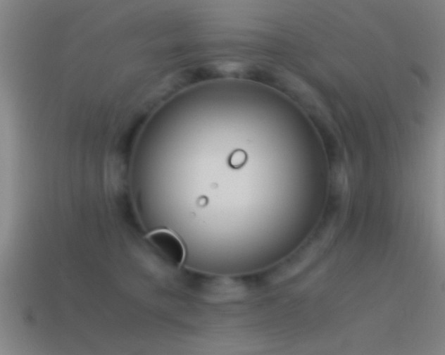 X0000114390421200910161258