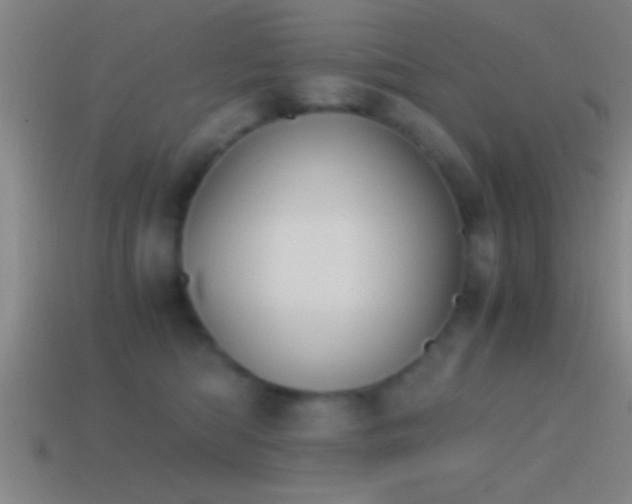 X0000114390422200910161258
