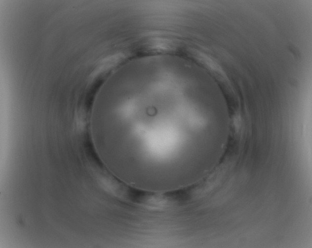 X0000114390423200910161258
