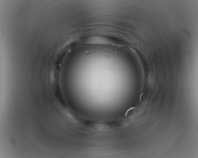X0000114390424200910161258