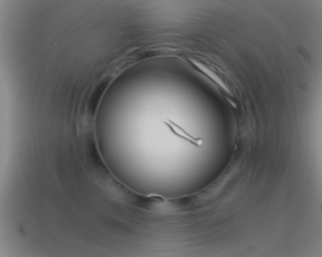 X0000114390425200910161258