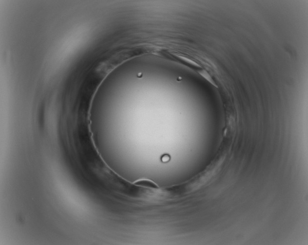 X0000114390429200910161258