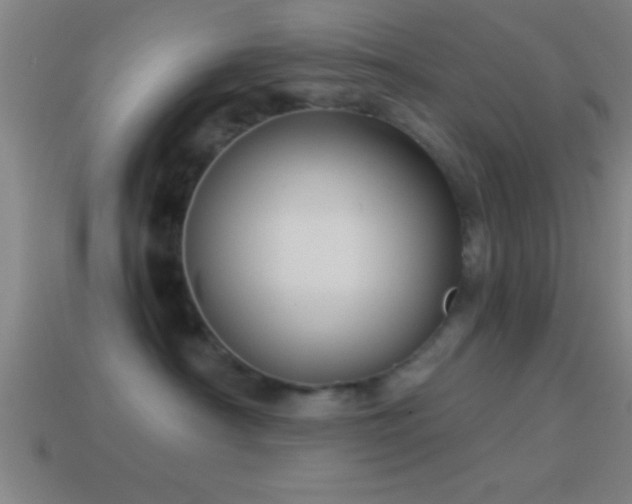 X0000114390430200910161258