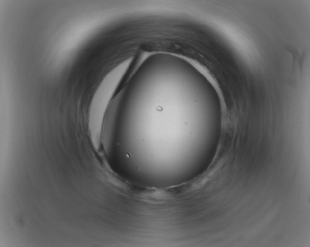 X0000114390431200910161258
