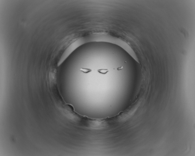 X0000114390432200910161258