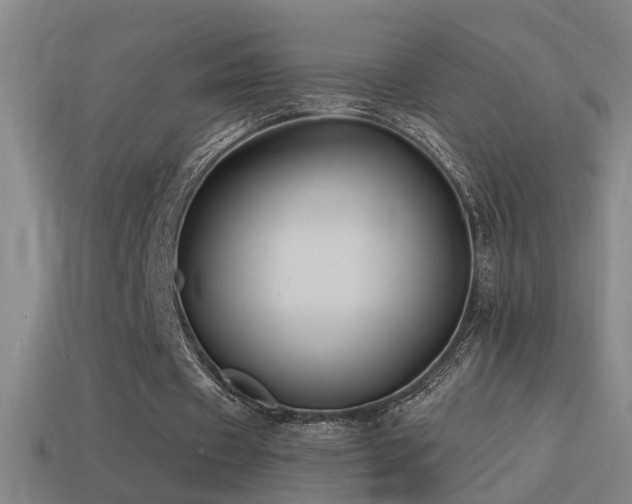 X0000114390433200910161257