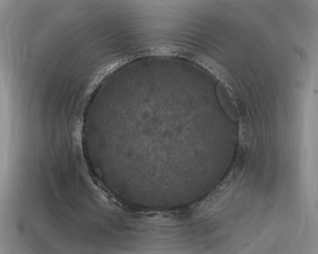 X0000114390434200910161257