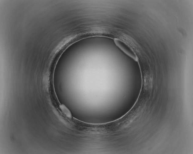 X0000114390436200910161257