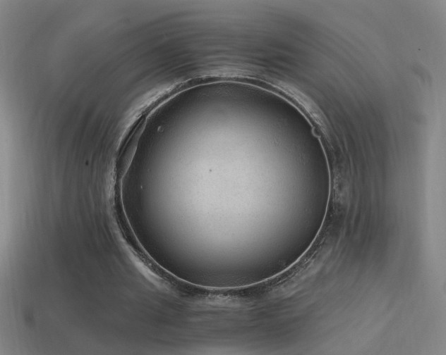 X0000114390437200910161257