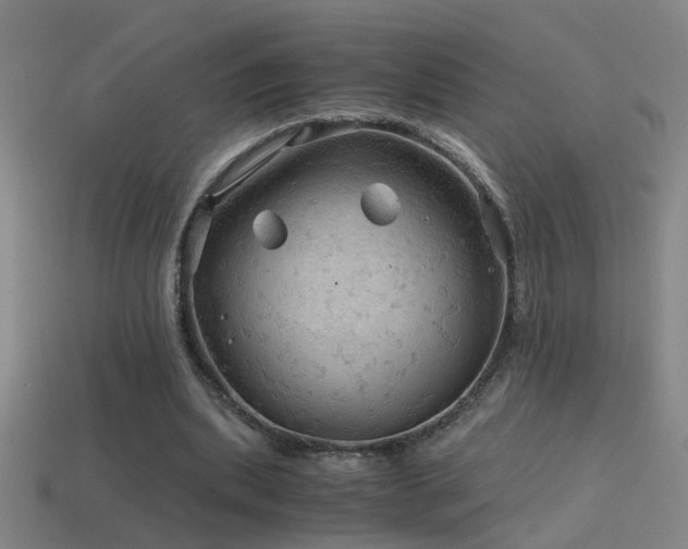 X0000114390439200910161257