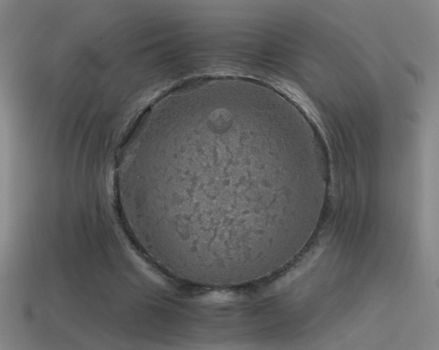 X0000114390441200910161257