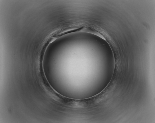 X0000114390442200910161257