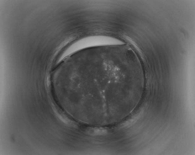 X0000114390443200910161257