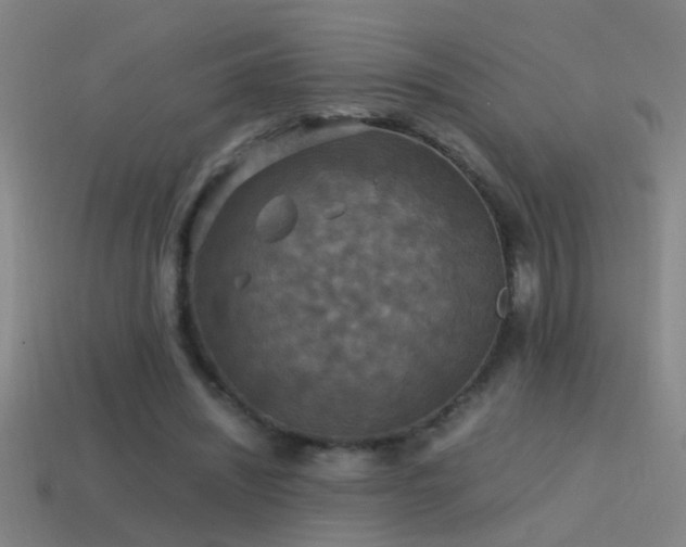 X0000114390444200910161257