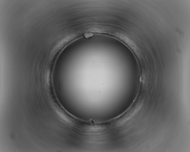 X0000114390445200910161257