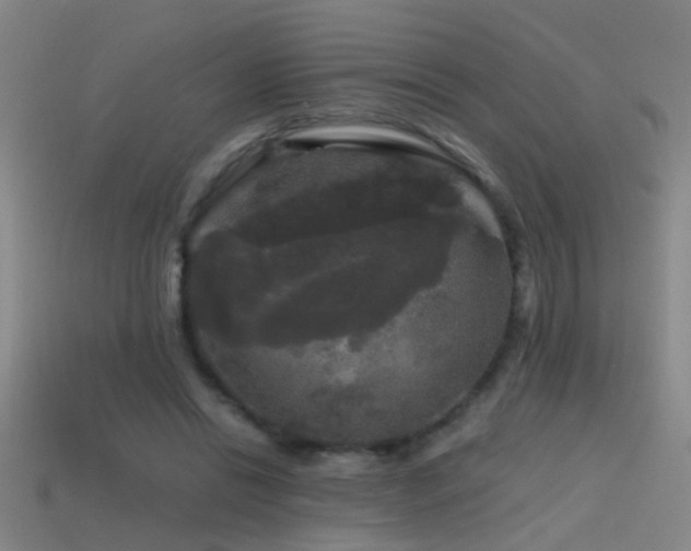 X0000114390446200910161257